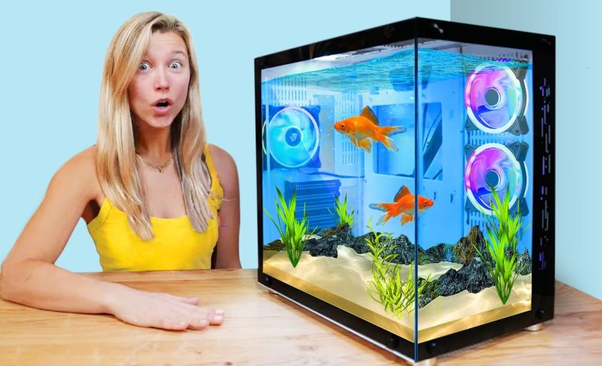 Aquatic Elegance: Enhance Your Décor with a Fish Tank