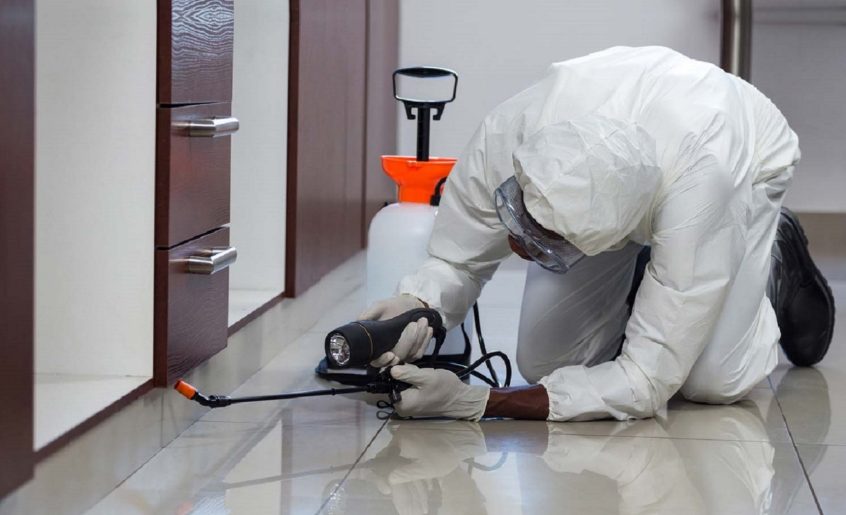 Residential and Commercial Pest Control Services: Your Comprehensive Pest Management Solution